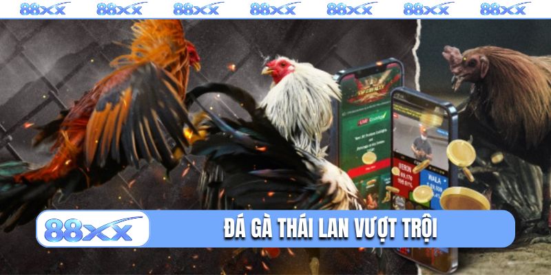 Đá gà Thái Lan hội tụ chiến kê vượt trội