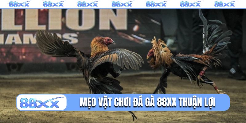 Mẹo vặt chơi đá gà 88XX thuận lợi
